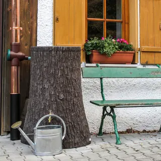 Regentonne Baumstamm LITTLE EVERGREEN 250 liter braun von Prosperplast